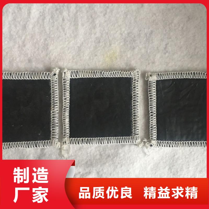 膨潤土防水毯_膨潤土防水毯廠家