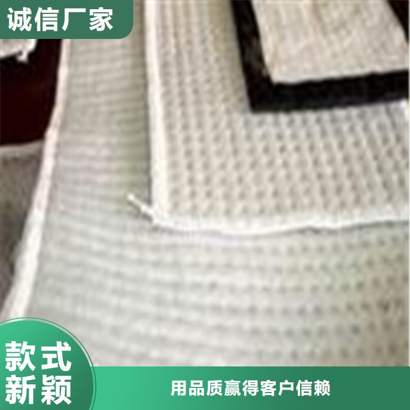 膨润土防水毯现货充足本地品牌