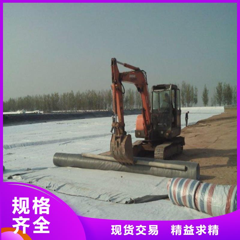 批發膨潤土防水毯_實力廠家當地經銷商