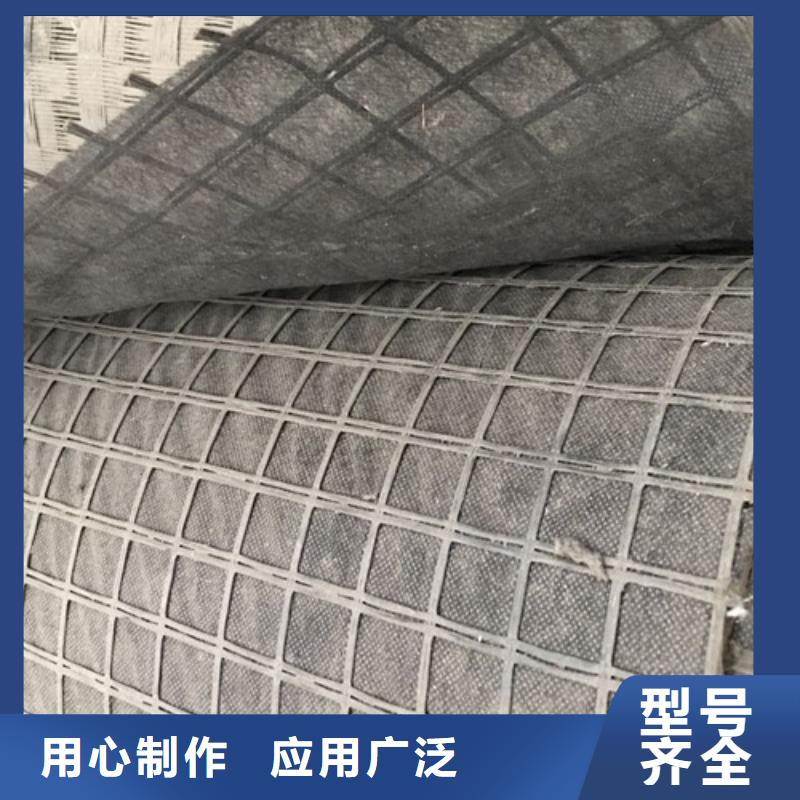 雙向經編土工格柵規格型號本地庫存