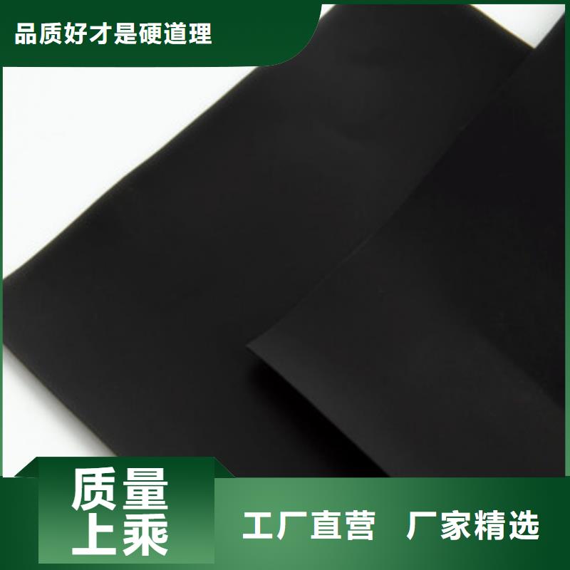土工膜-實力企業敢與同行比質量