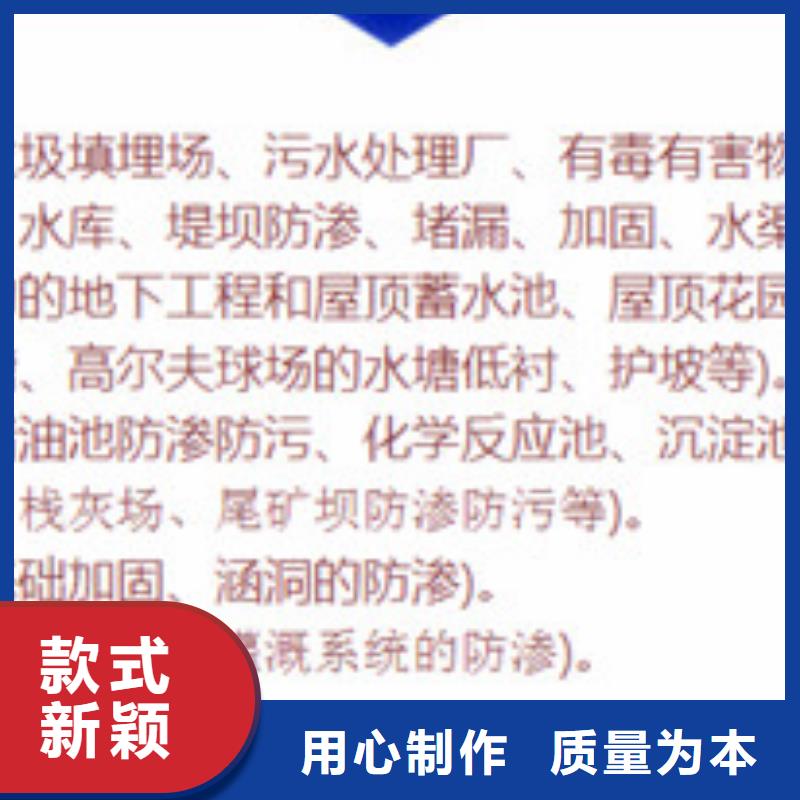 土工膜_廠家定制實力才是硬道理