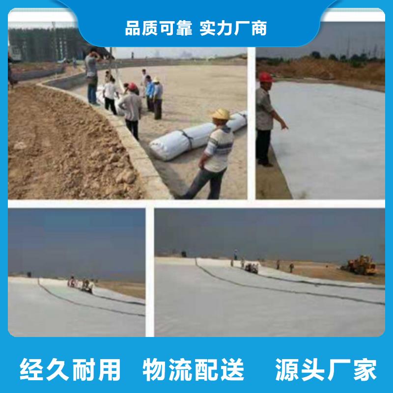 土工格柵放心選應用廣泛