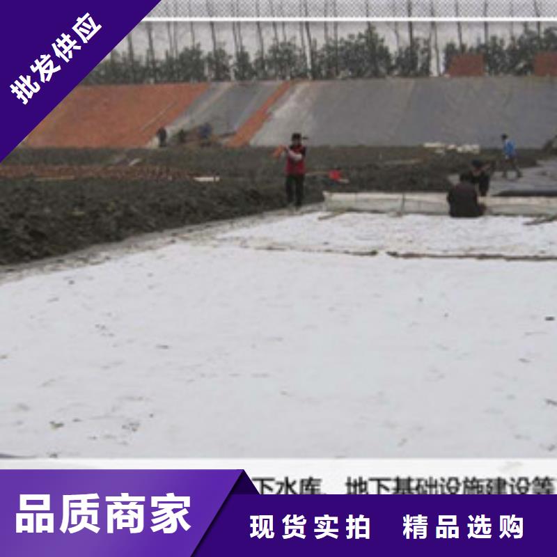 質(zhì)量優(yōu)的膨潤土防水毯廠家