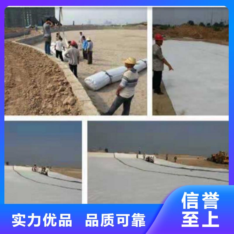 隨時驗廠##膨潤土防水毯##實力保障