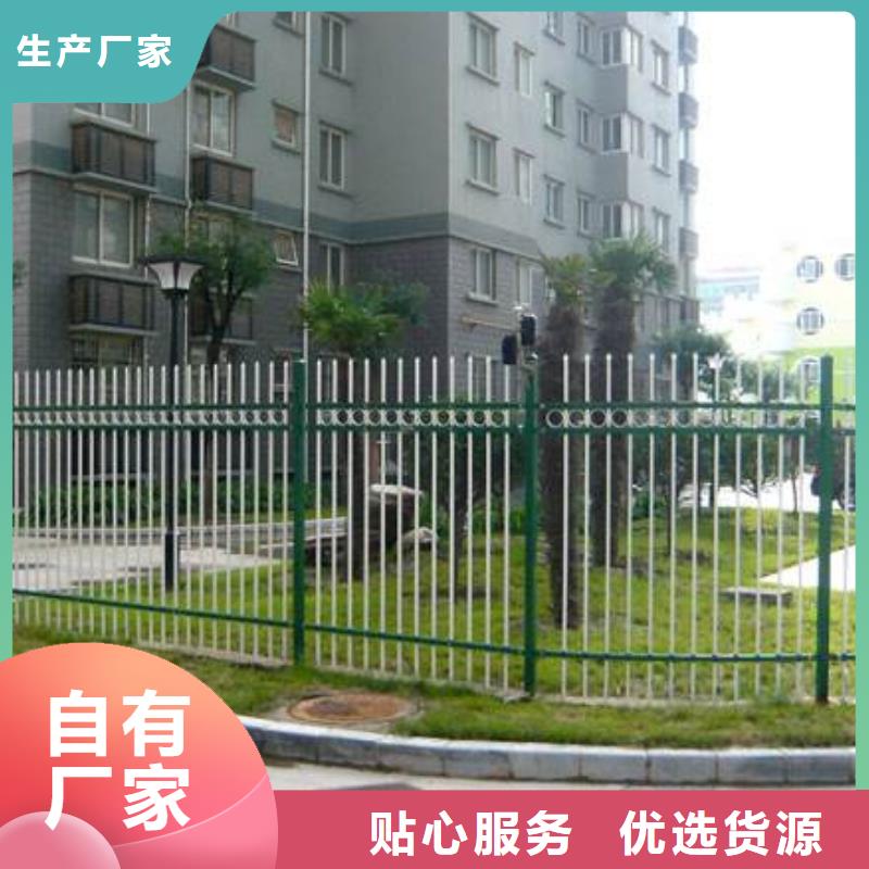 專業銷售鋅鋼護欄-價格優惠