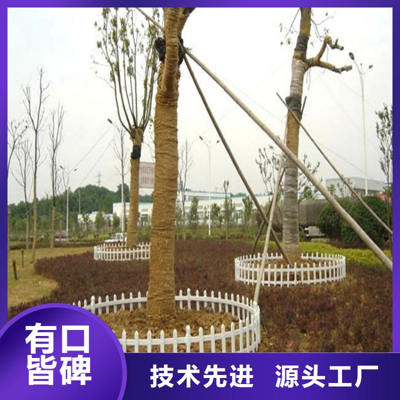 草坪護欄品質有保證