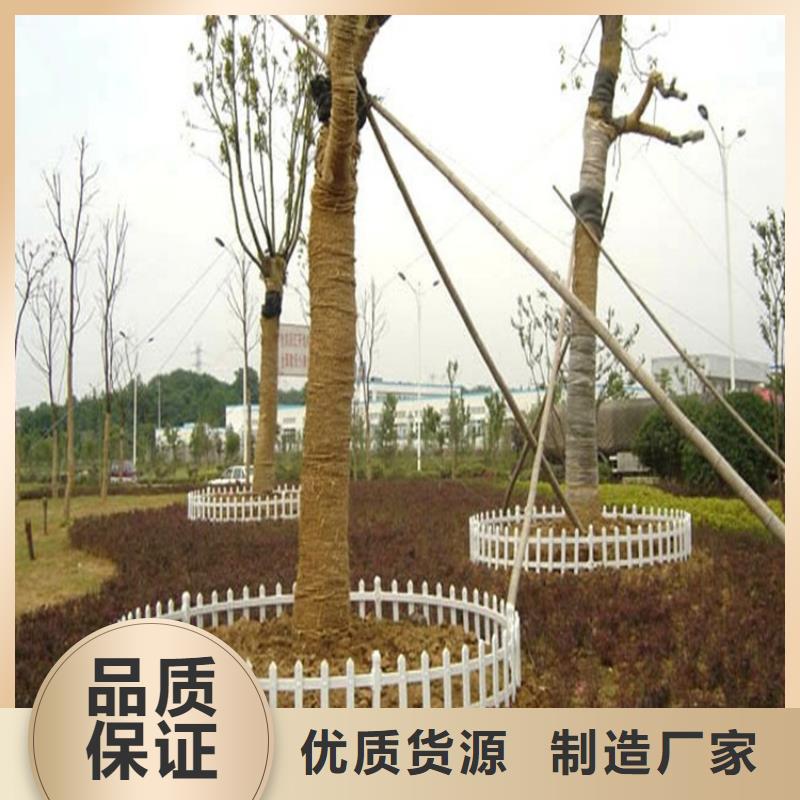 重信誉草坪护栏供货商