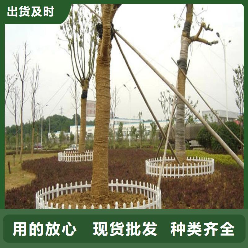 草坪護欄_量大從優