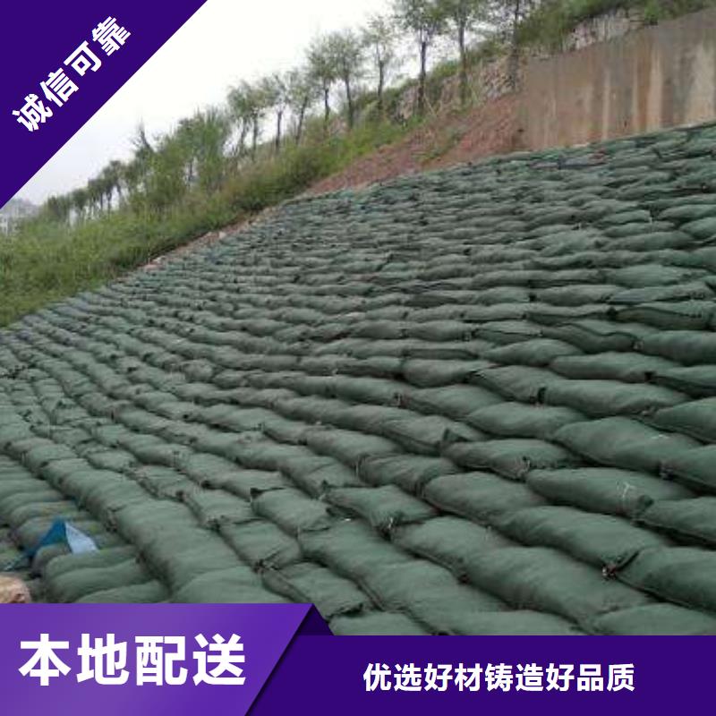 三維植被網供應商求