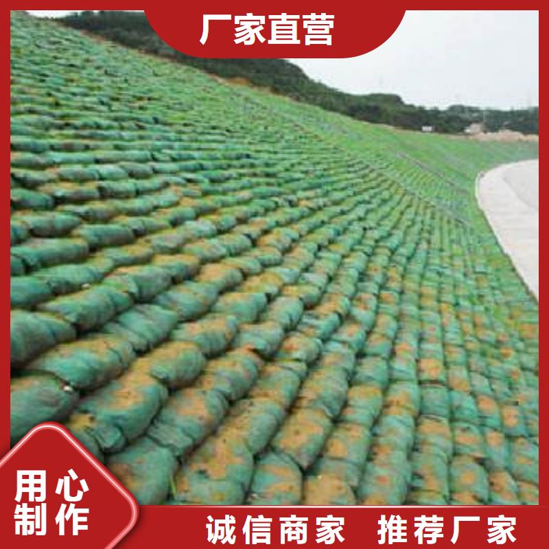 2025专业定制#三维植被网公司#欢迎咨询