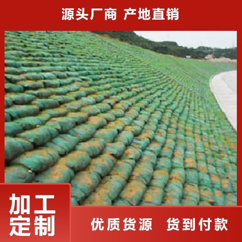 三維植被網常年供貨