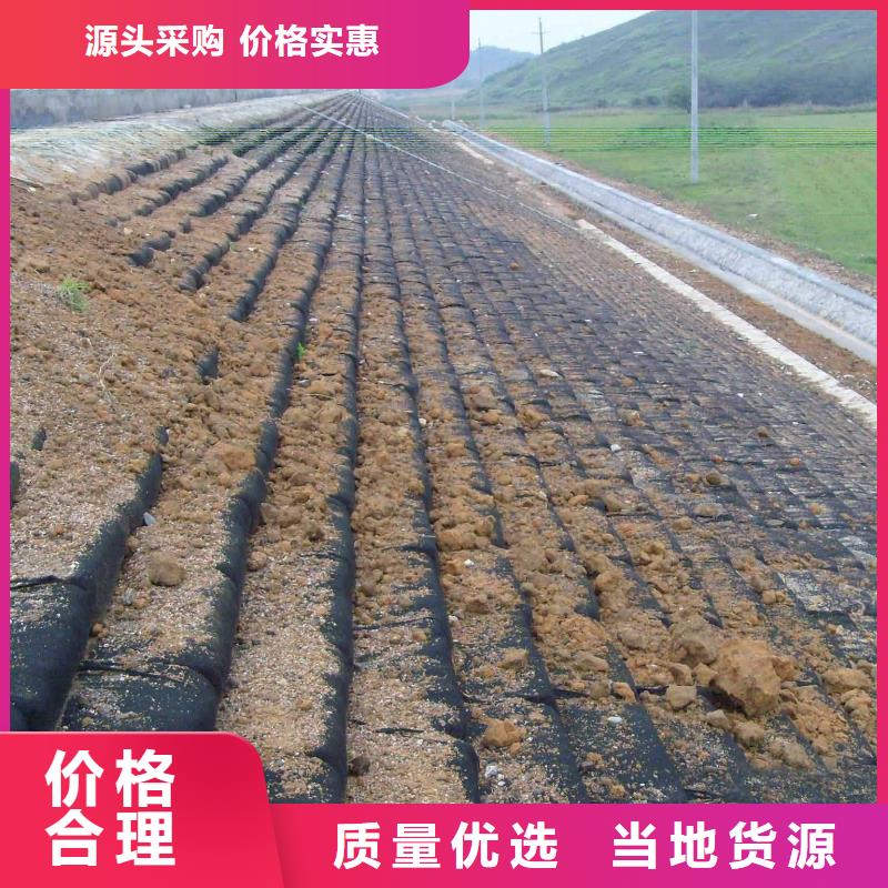 三維植被網(wǎng)品質(zhì)與價(jià)格同行