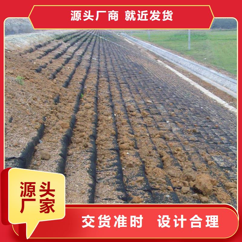 三維植被網(wǎng)批發(fā)采購