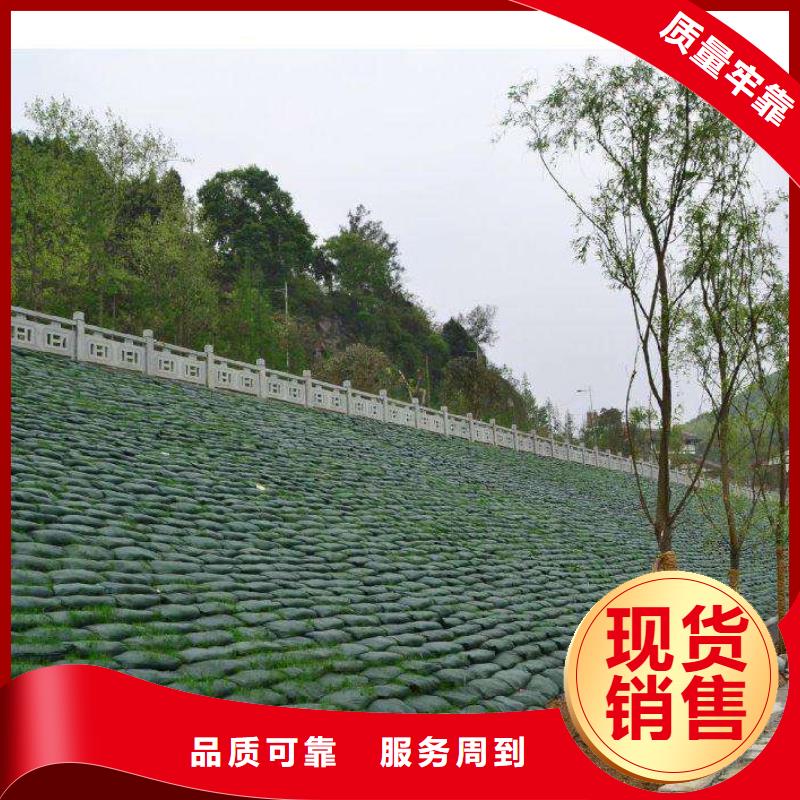 常年供應三維植被網-口碑好