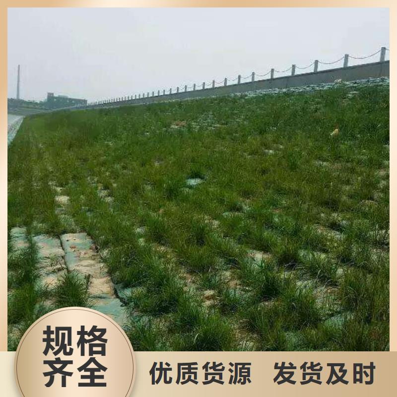 三维植被网-客户一致好评产品优良