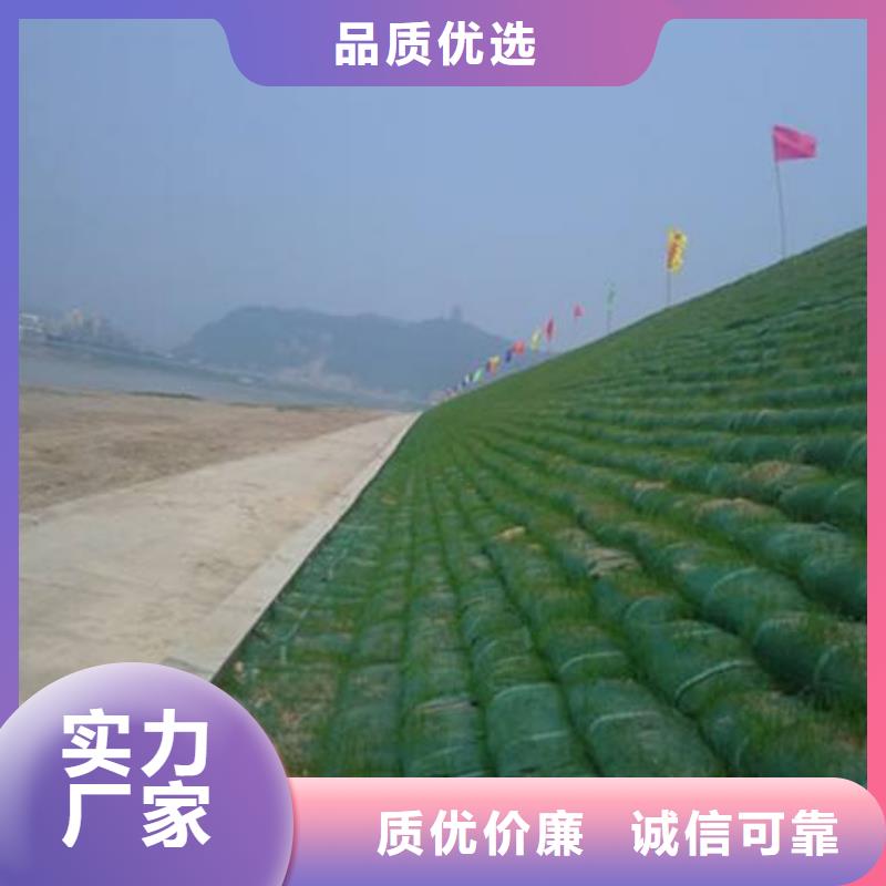 三維植被網(wǎng)批發(fā)價格