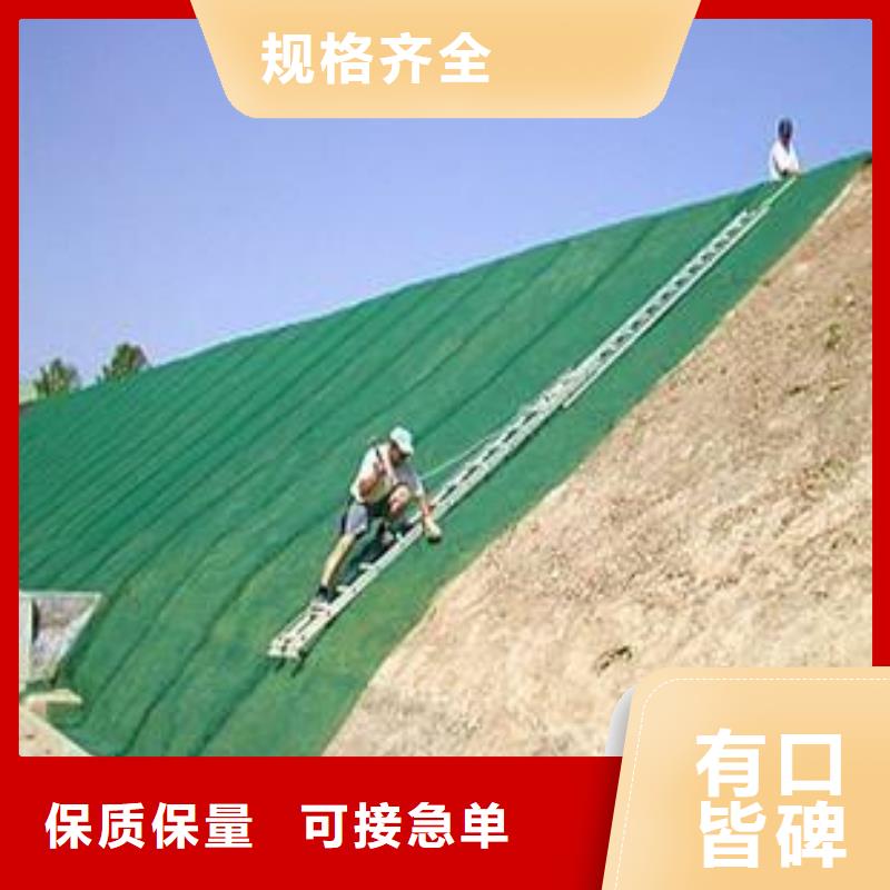 三維植被網技術參數