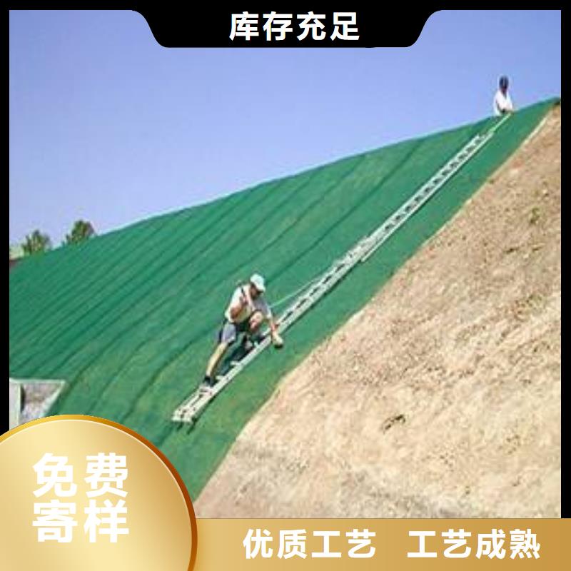 買三維植被網認準泰安英辰工程材料有限公司好貨采購