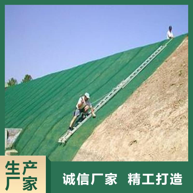三維植被網現貨即發