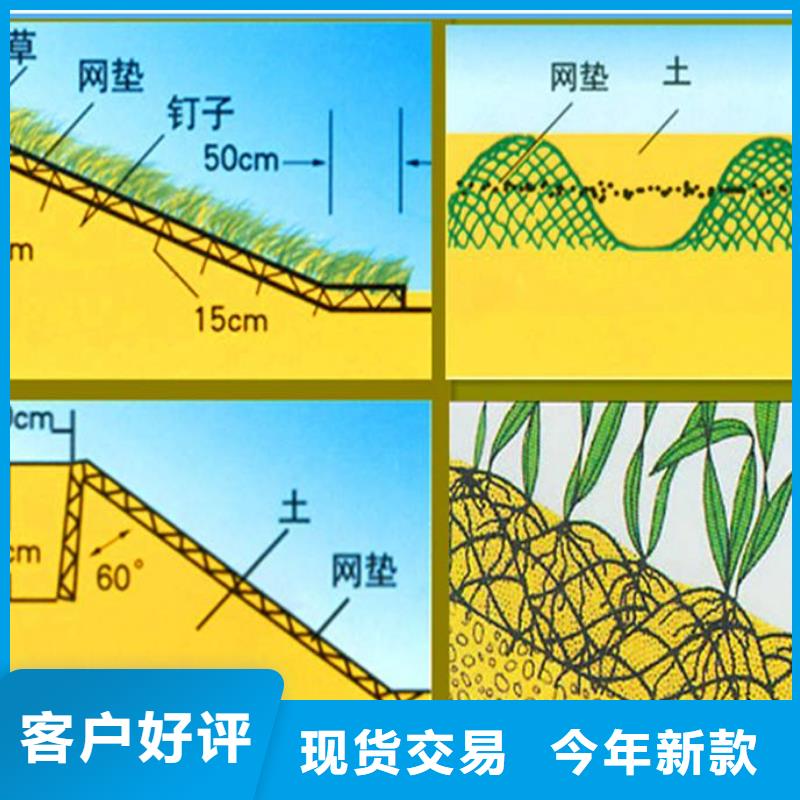 三维植被网-加工厂家