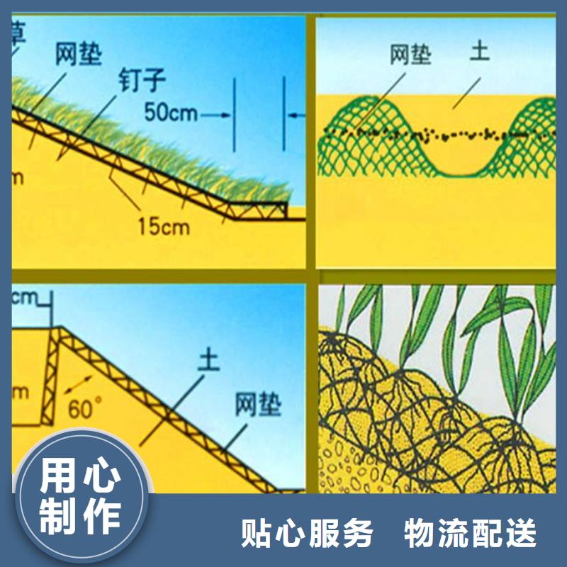 现货充足的三维植被网厂家{当地}经销商