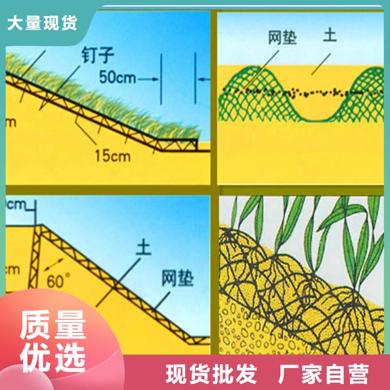 三维植被网-三维植被网质优