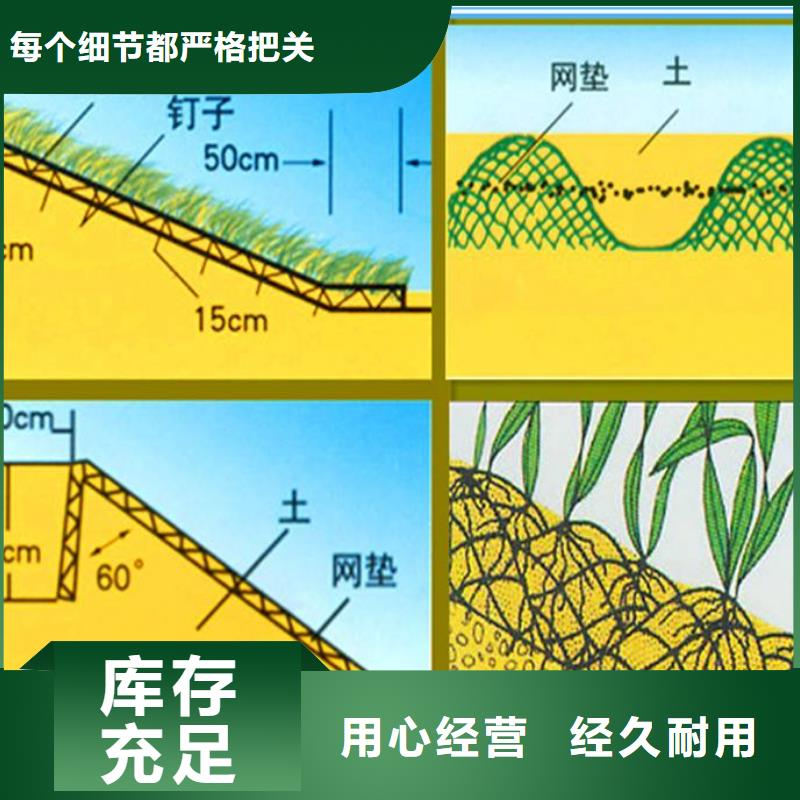 三維植被網研發廠家真誠合作