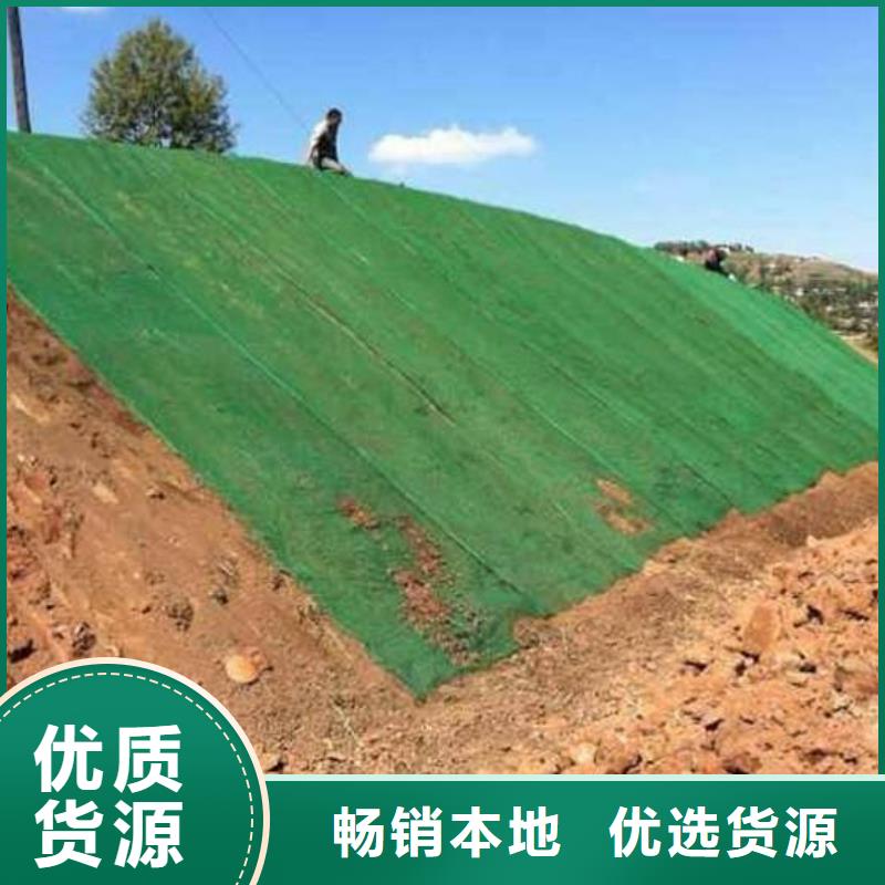 三維植被網(wǎng)應(yīng)用范圍廣