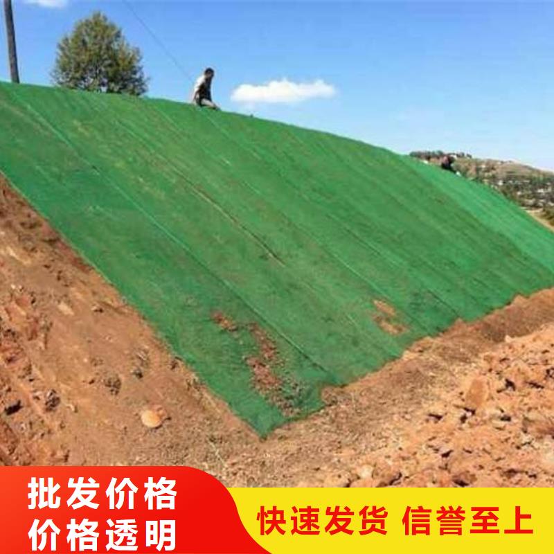 #三維植被網(wǎng)廠家
