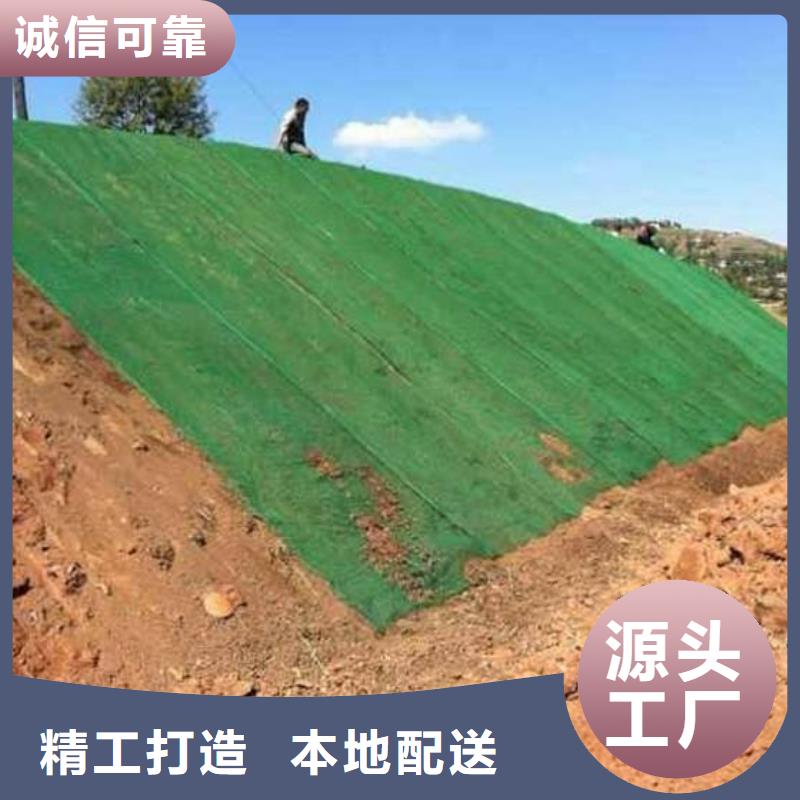 供應(yīng)三維植被網(wǎng)的經(jīng)銷商
