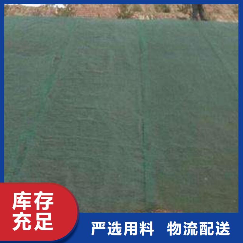 優質三維植被網供應商