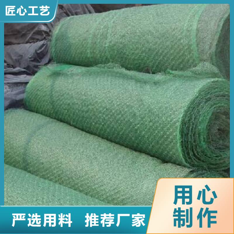 三維植被網優質之選