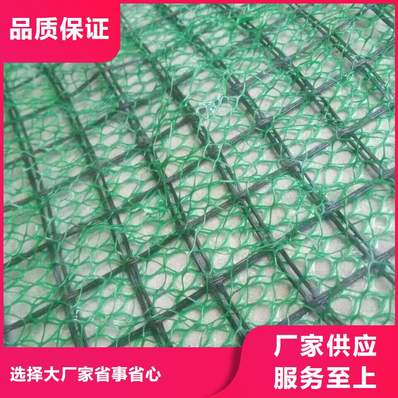 三維植被網(wǎng)價(jià)格實(shí)在嚴(yán)選材質(zhì)