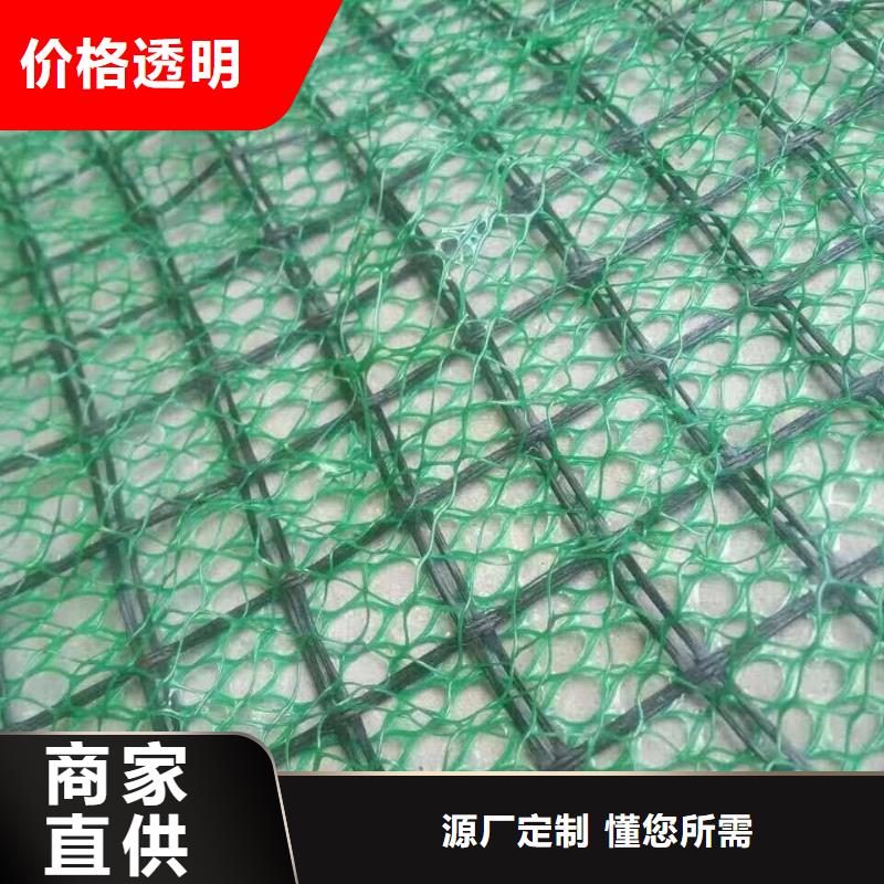 三维植被网厂家-定制