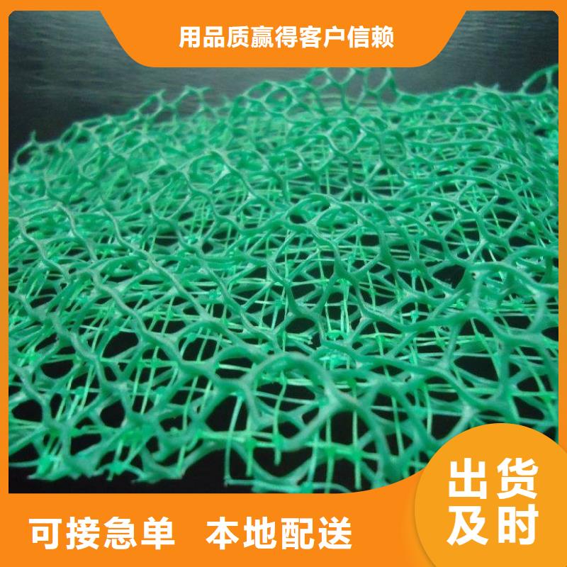 三維植被網實力工廠放心選購