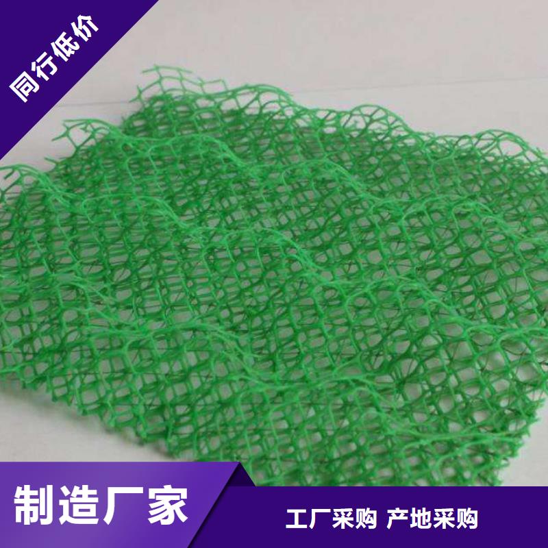 三維植被網(wǎng)定做價格