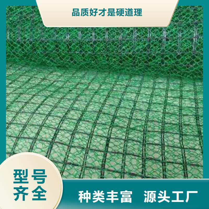 三维植被网价格_三维植被网