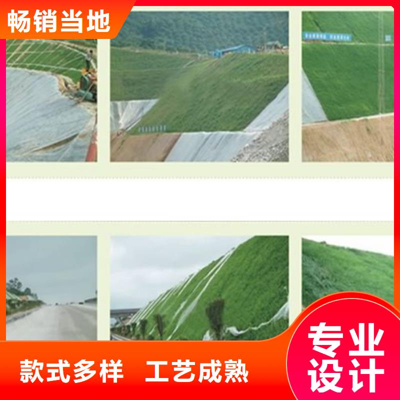 口碑好的三维植被网厂家