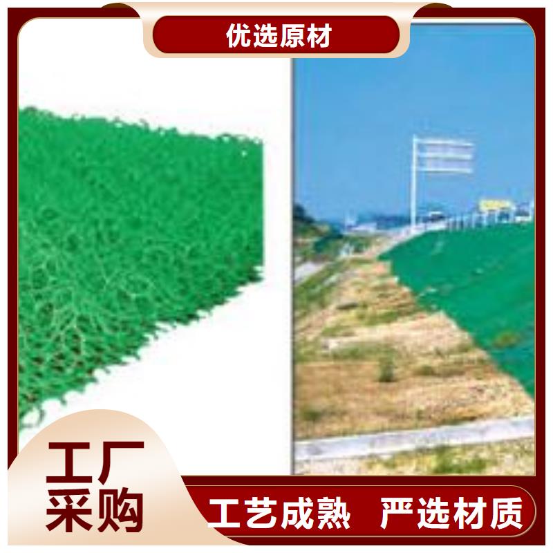 三維植被網(wǎng)、三維植被網(wǎng)生產(chǎn)廠家_大量現(xiàn)貨