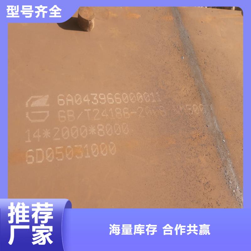 500耐磨板質保一年