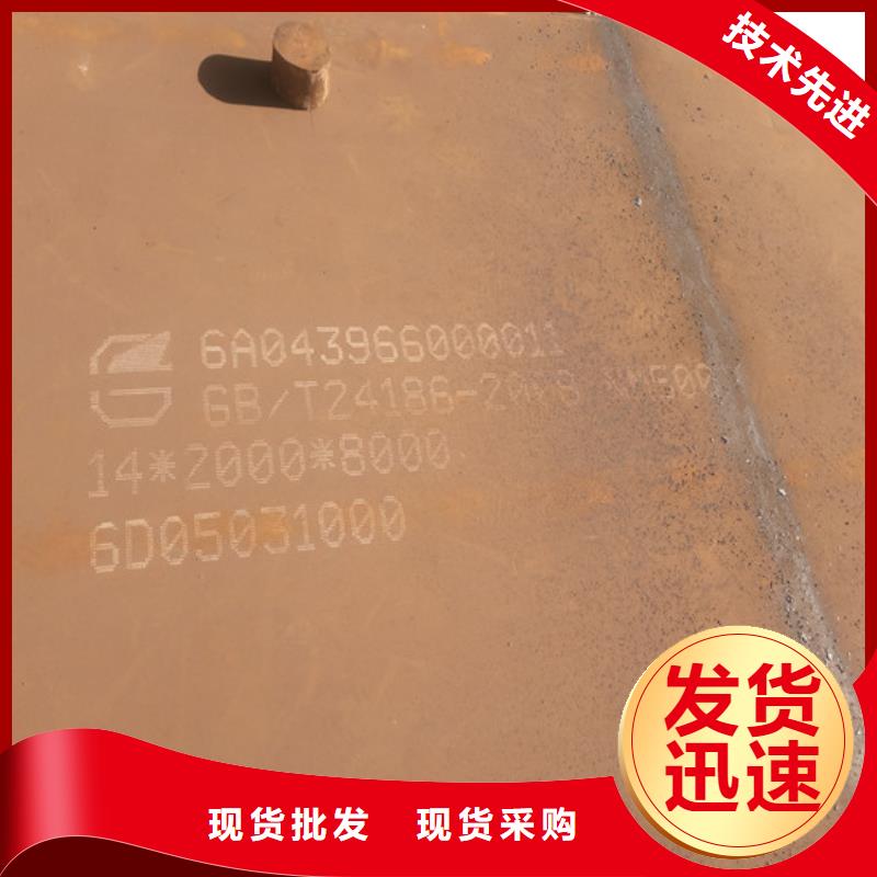 新鋼NM500圖片