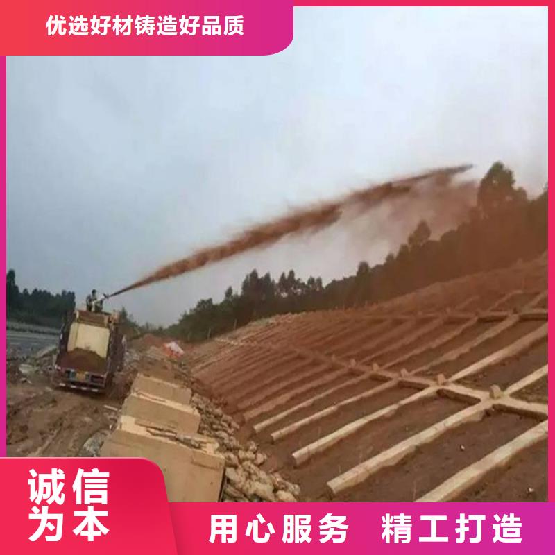 噴播機廠家-長期有效