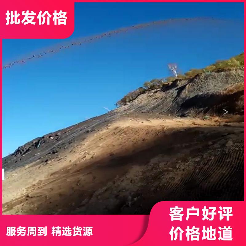 喷播机诚信厂家
