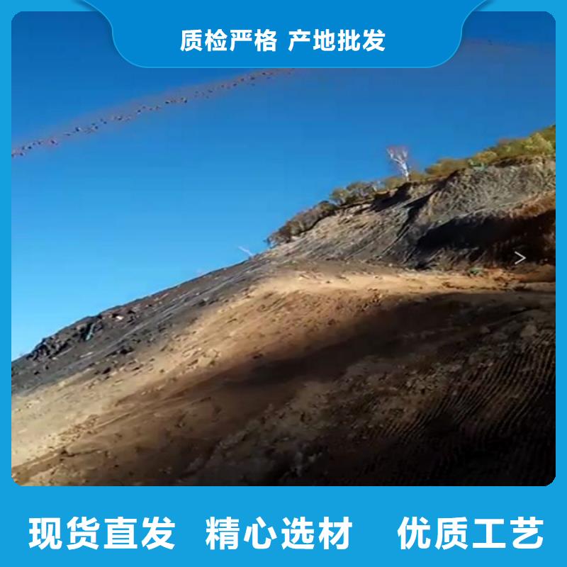 采購噴播機必看-圖文介紹
