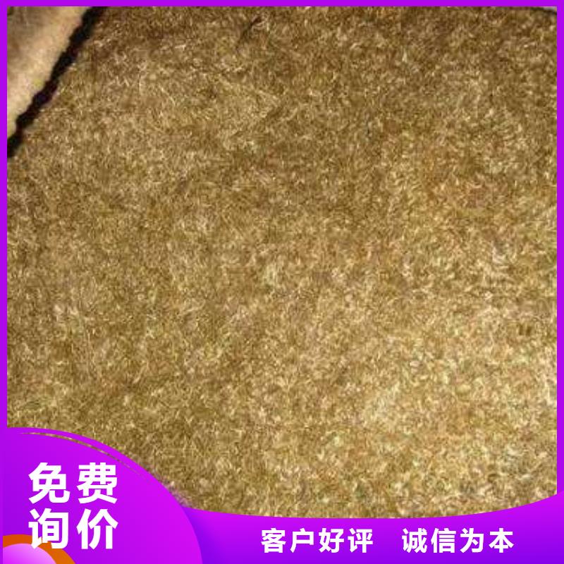回收價格資訊