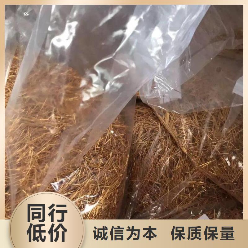 回收-值得擁有
