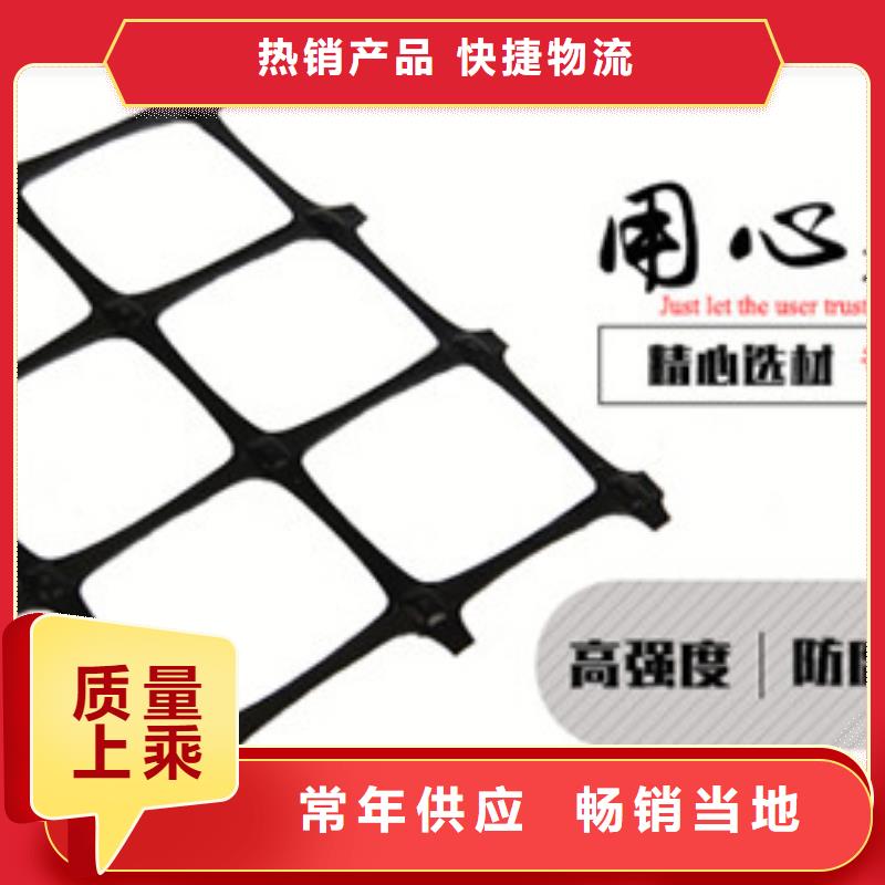 新款土工格柵廠家