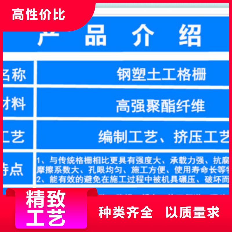 实力雄厚的土工格栅厂家