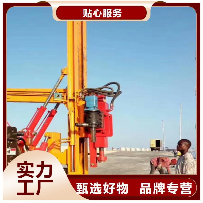 2025采購##打樁機##品種齊全買的放心安興用的舒心